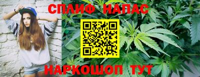 мдма Сланцы