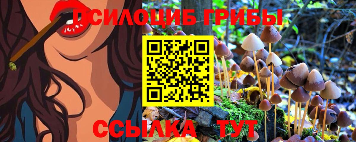Галлюциногенные грибы Psilocybe  Вход с VPN  Борисоглебск  Псилоцибиновые грибы Cubensis 